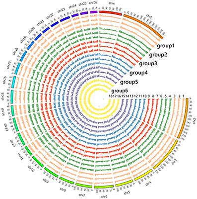 Differential Methylation and Transcriptome Integration Analysis Identified Differential Methylation Annotation Genes and Functional Research Related to Hair Follicle Development in Sheep